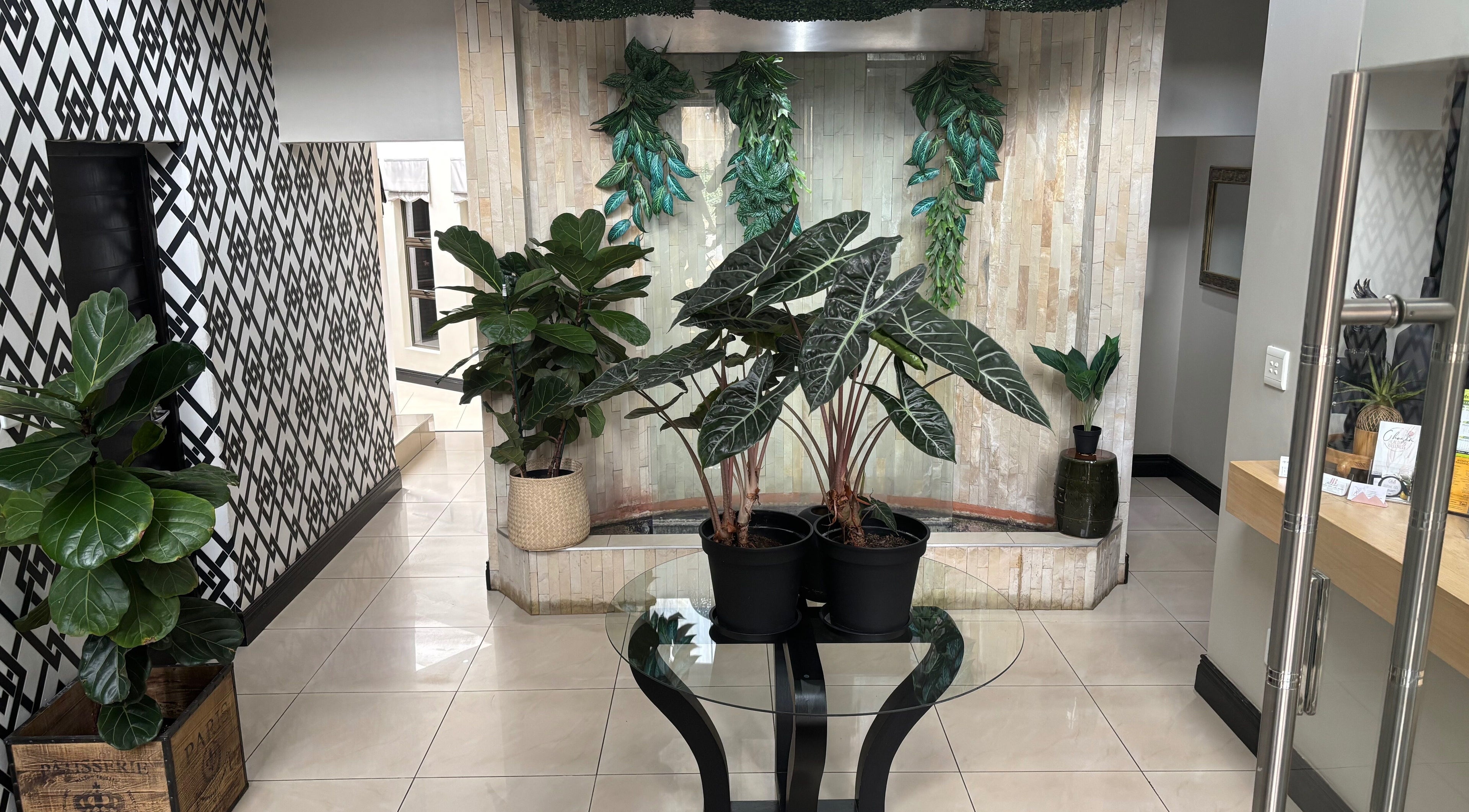 Lush plant decor in Shape And Sculpt entryway, Pretoria, Gauteng, ZA.