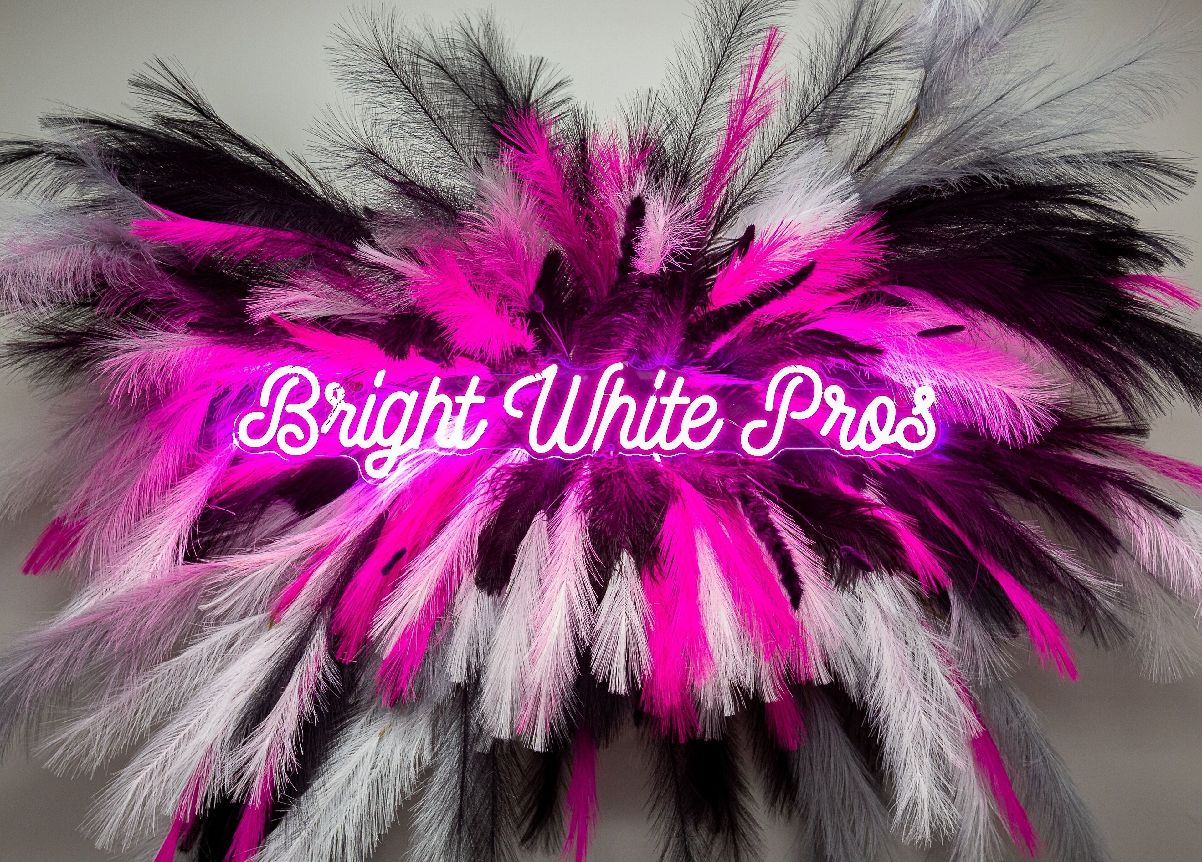 Bright White Pros neon sign with colorful feathers in Fort Worth, Texas, US.