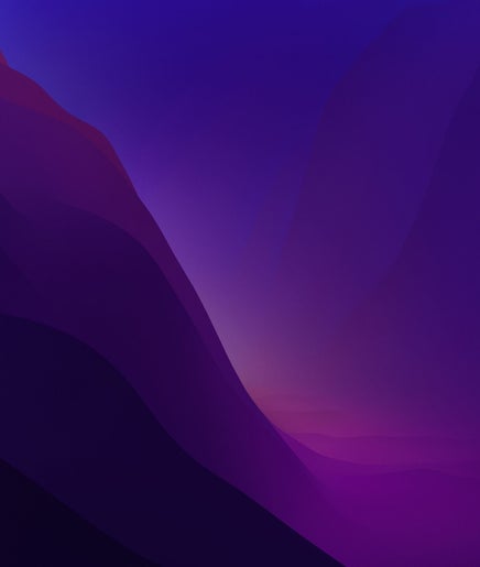 NailDemo image 2