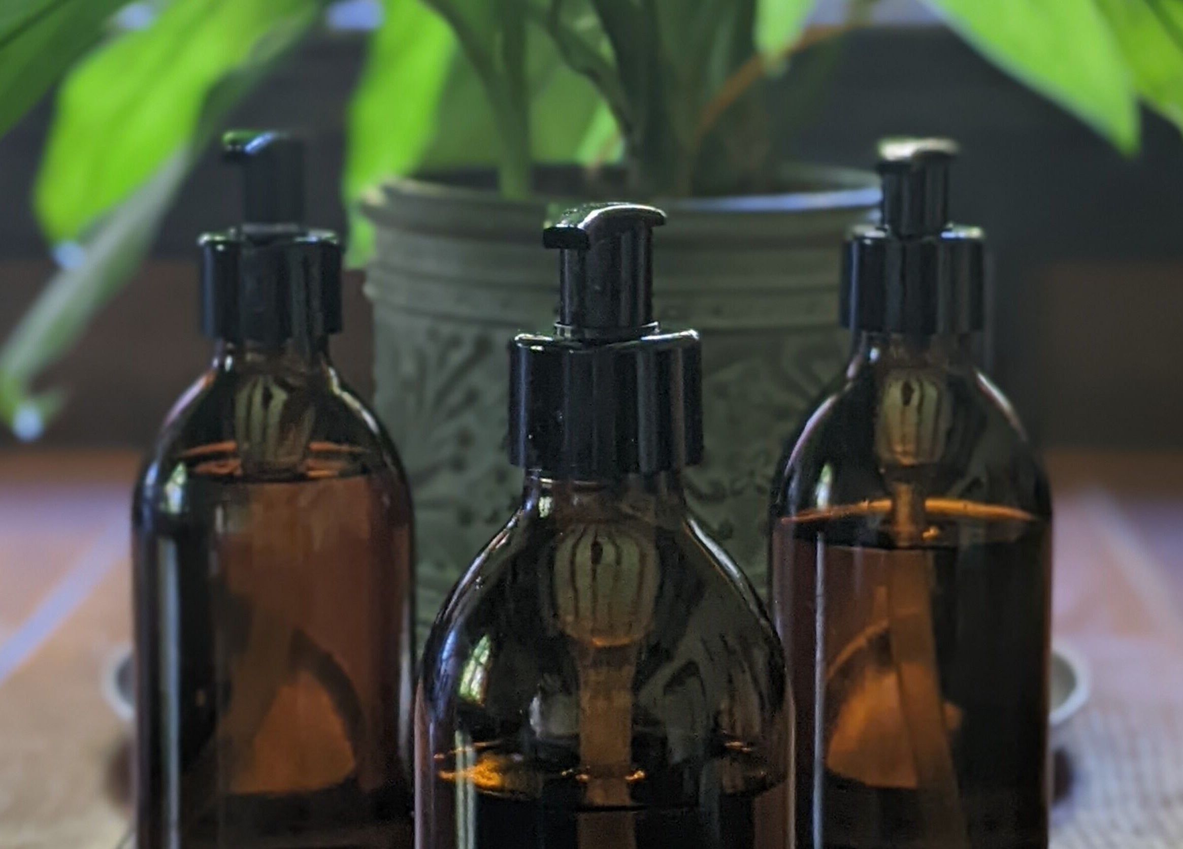 Amber oil bottles with plant at Liz's Mobile Massage Faversham, Faversham, England, GB.