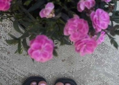 View of pink flowers and manicured toes at Agi Nails, Bulwark, Wales, GB. Experience vibrant floral beauty.