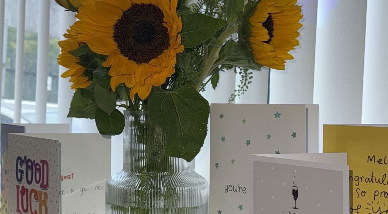 Sunflowers and greeting cards at Studio555, Clydebank, Scotland, GB create a welcoming ambiance.