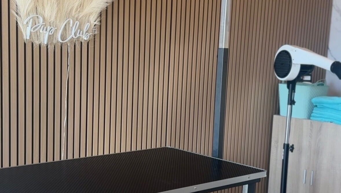 Pup Club Groomers setup in Birmingham, England, GB with grooming table and hairdryer.