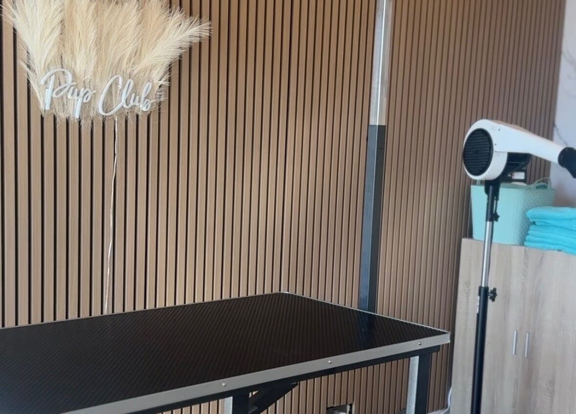 Pup Club Groomers setup in Birmingham, England, GB with grooming table and hairdryer.