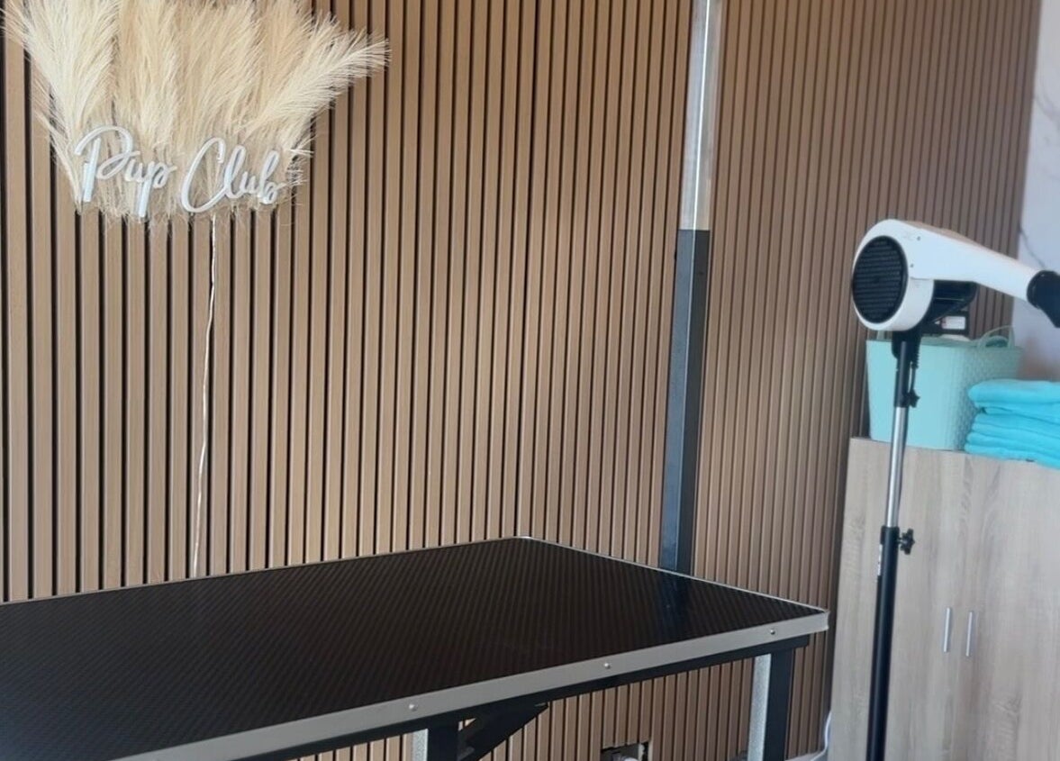 Pup Club Groomers setup in Birmingham, England, GB with grooming table and hairdryer.