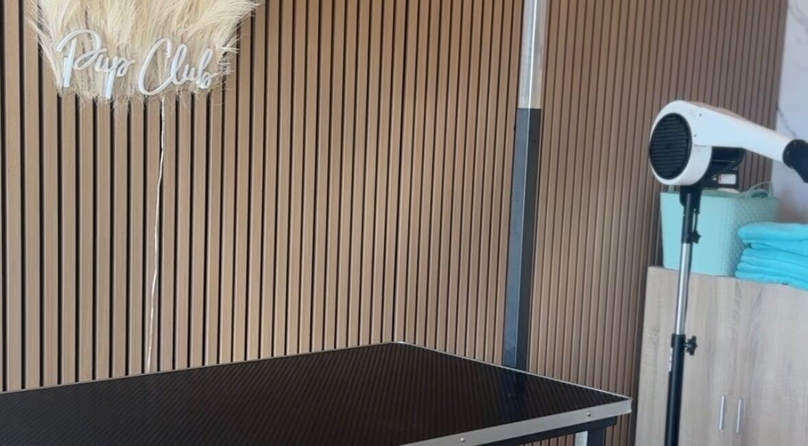 Pup Club Groomers setup in Birmingham, England, GB with grooming table and hairdryer.