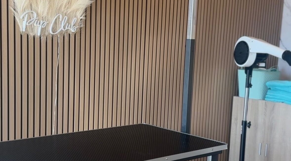 Pup Club Groomers setup in Birmingham, England, GB with grooming table and hairdryer.