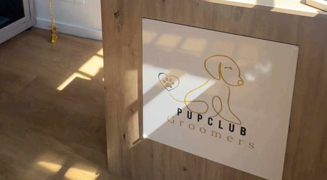 Pup Club Groomers logo on a welcoming wooden counter in Birmingham, England, GB.