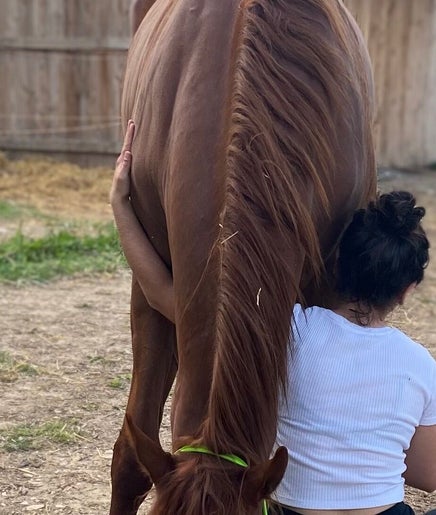 Femme câlinant un cheval à A Travers son regard by PAREDI Manali à Quissac, Occitanie, FR.
