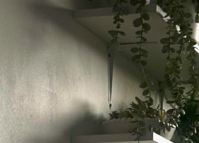 Greenery on shelves at Browtopia & Beyond | Halal Brows ♡ in London, England, GB creates a serene ambiance.