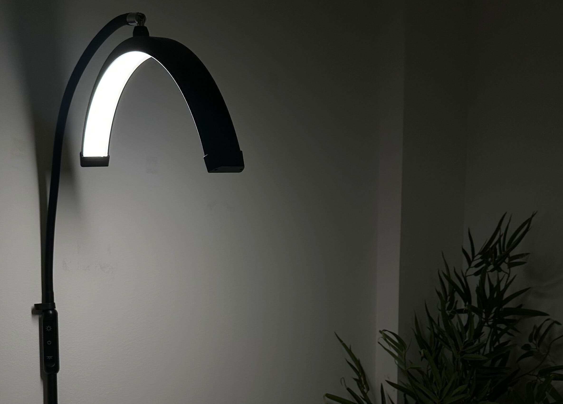 Contemporary curved floor lamp at Browtopia & Beyond | Halal Brows, London, England, GB.