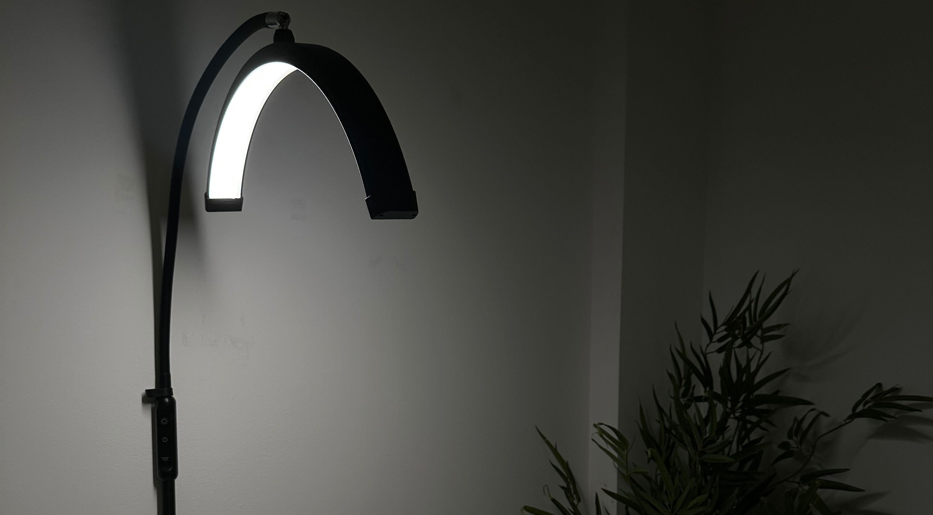 Contemporary curved floor lamp at Browtopia & Beyond | Halal Brows, London, England, GB.