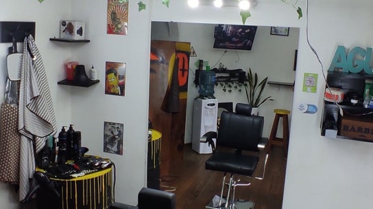 Picu barbería