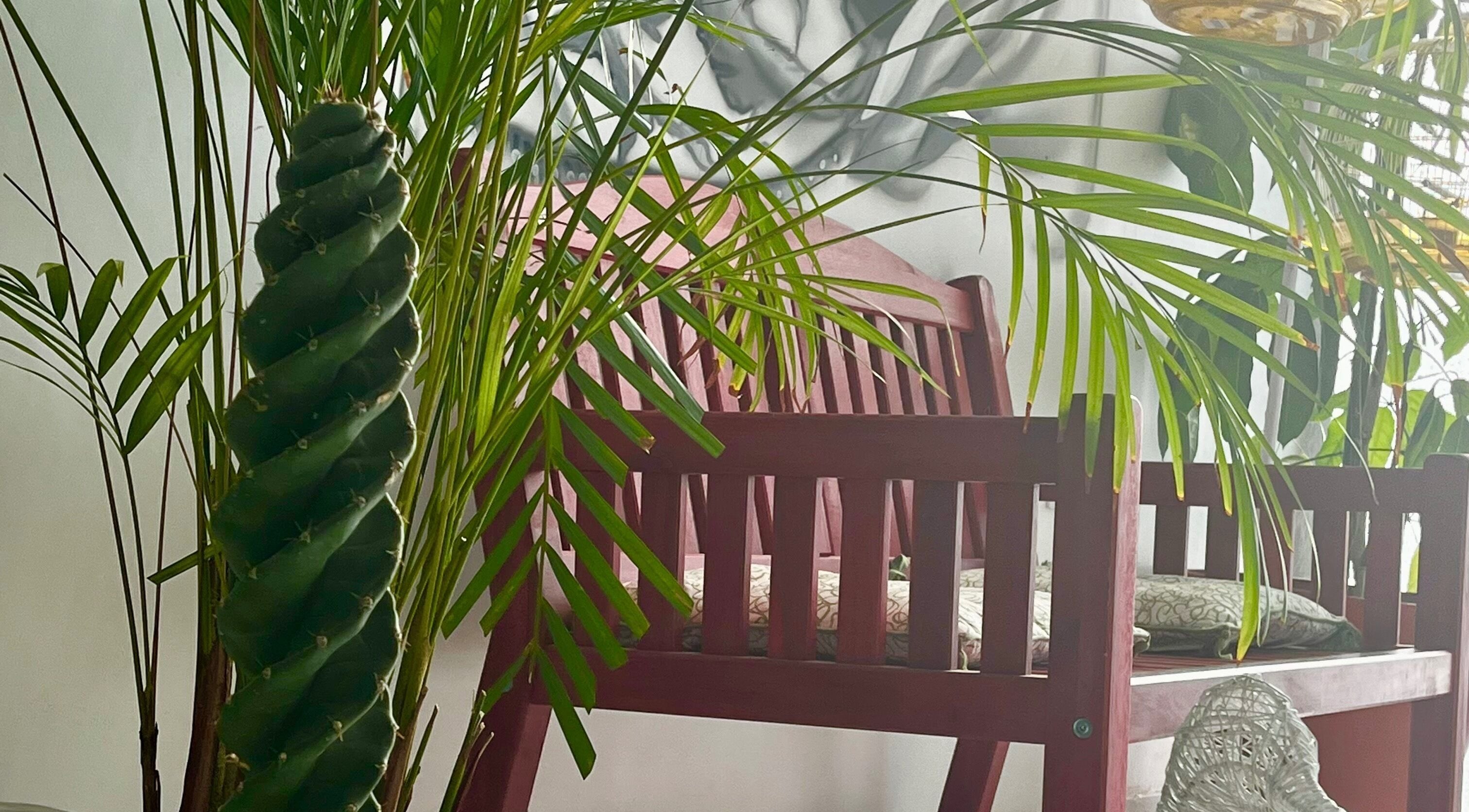 Cozy seating with lush plants at Trim Beauty Salon, جدة, مكة المكرمة, SA.
