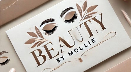 Elegant Beauty by Mollie sign with brow and lash motifs, Brigg, England, GB.