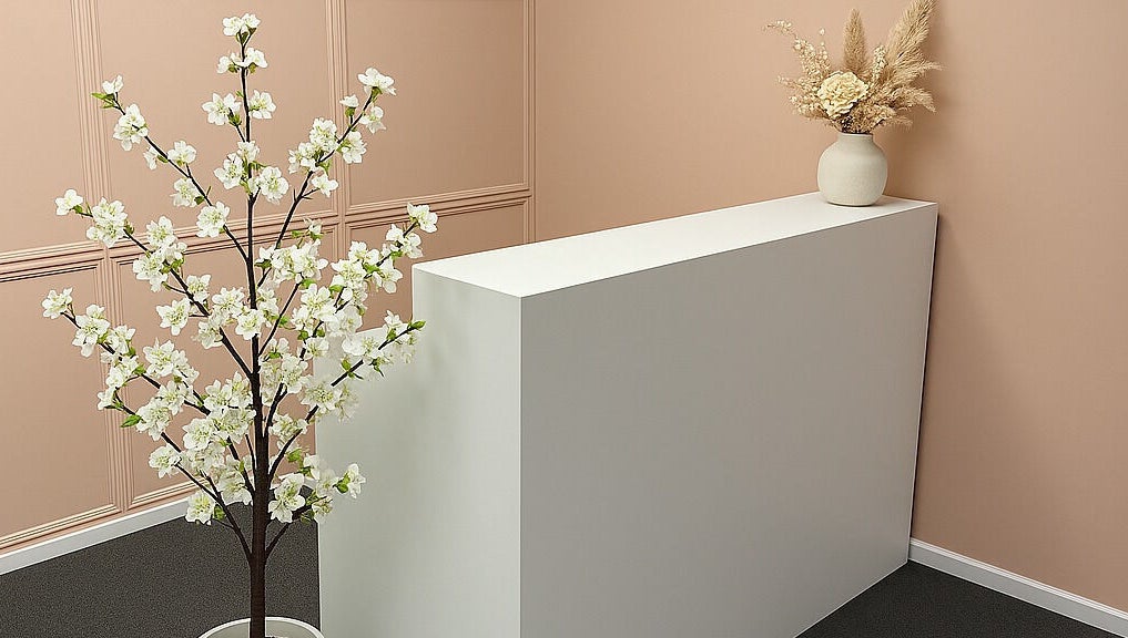 Reception area at Cryo Curve - Gungahlin with elegant decor in Gungahlin, Australian Capital Territory, AU.