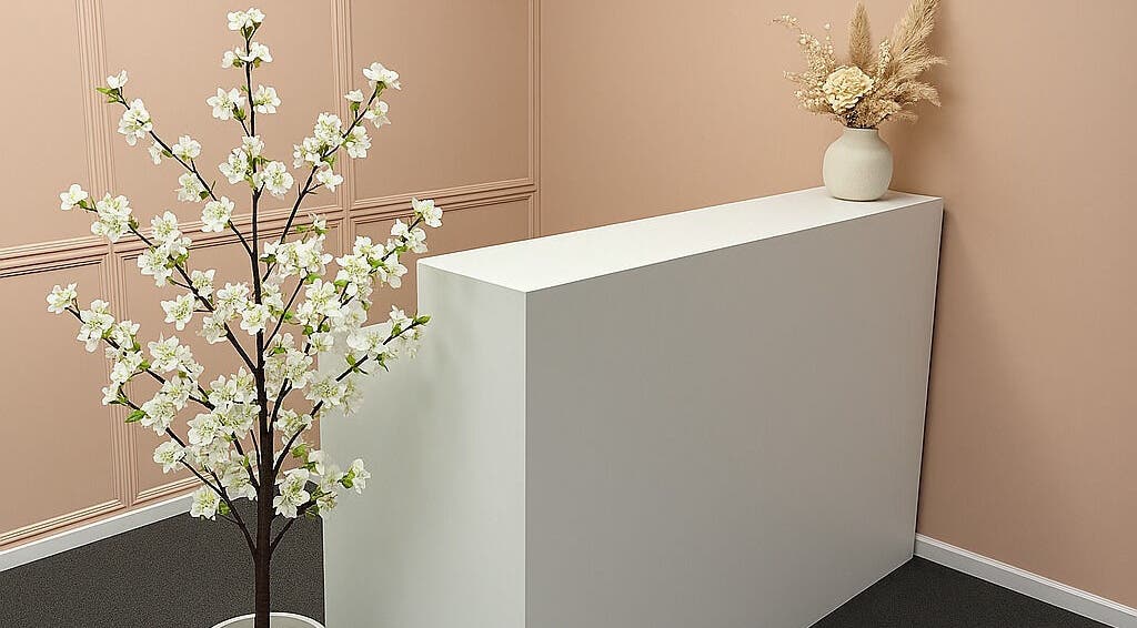 Reception area at Cryo Curve - Gungahlin with elegant decor in Gungahlin, Australian Capital Territory, AU.