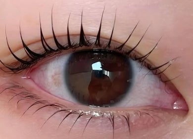 Close-up of a styled eyelash from Tokyo Eyelash, Kilburn, South Australia, AU, showcasing precision beauty.