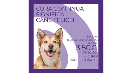 Fido24 | Seriate图像3