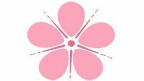 Cherry Blossom Therapies изображение 1