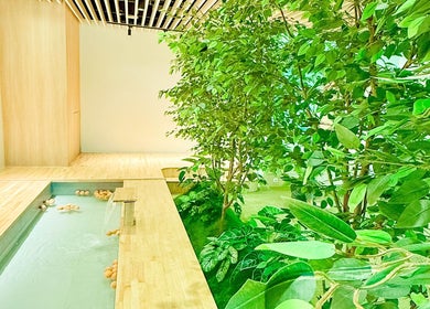 Tranquil indoor garden with wooden floors at Haru Fit Tokyo, Jakarta Selatan, DKI Jakarta, ID.