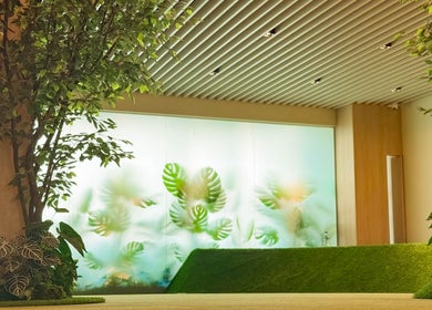 Tranquil greenery inside Haru Fit Tokyo, Jakarta Selatan, DKI Jakarta, ID, enhancing wellness ambiance.