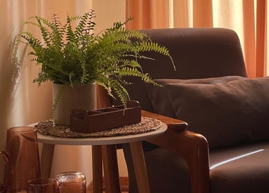 Espaço acolhedor no Rosalusa • Massagem e Bem-estar, Costa Da Caparica, Setúbal, PT, com cadeira e planta.