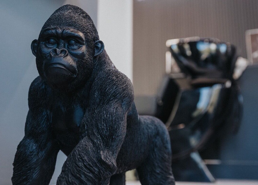 Unique gorilla sculpture inside Hairshot salon, Plovdiv, Plovdiv, BG.
