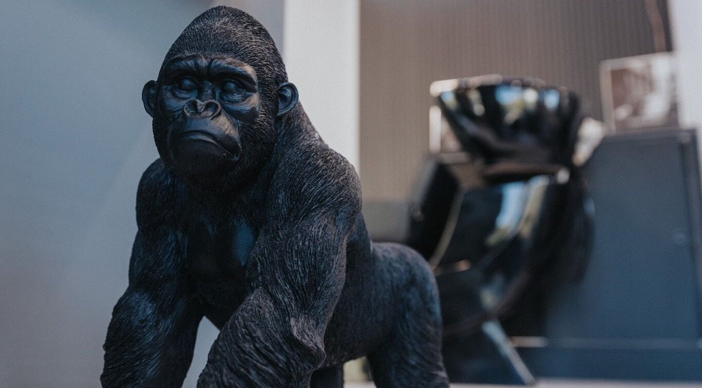 Unique gorilla sculpture inside Hairshot salon, Plovdiv, Plovdiv, BG.