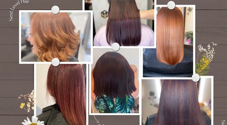 Vibrant hair styling at Next Level Hair by Karolina in London, England, GB shown in a variety of shades.