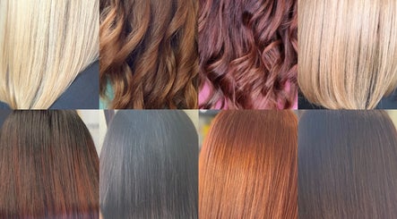 Diverse hair color styles at Next Level Hair by Karolina, London, England, GB, showcasing vibrant hues.