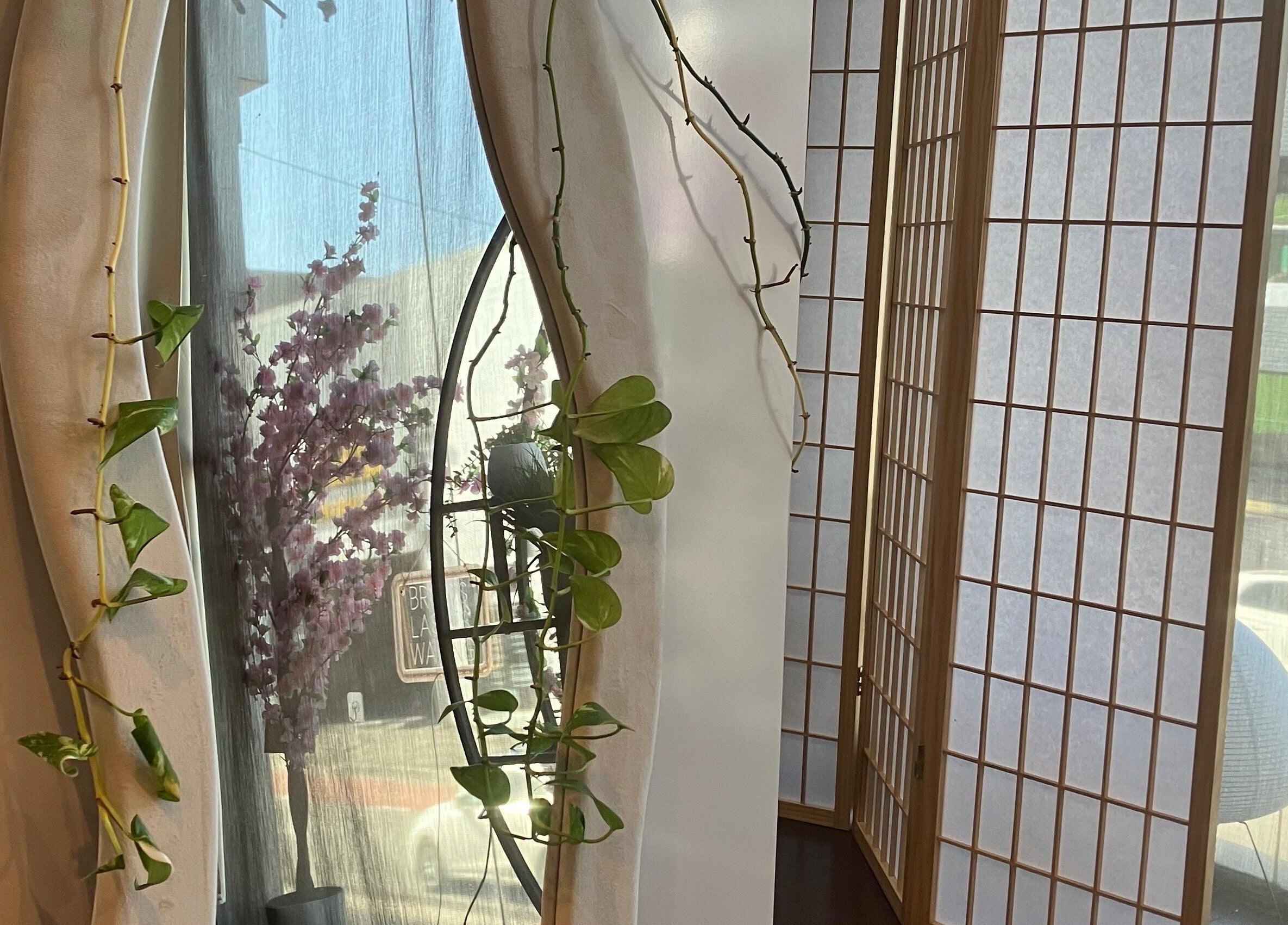 Calm corner with vines at TOKYO LASH, Petersham, New South Wales, AU, creating a serene atmosphere.