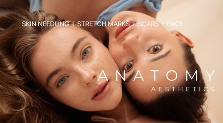 Anatomy Aesthetics