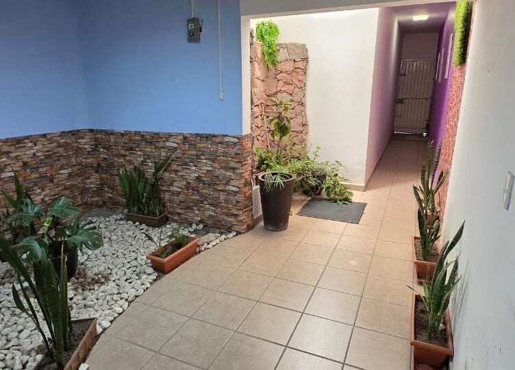 Pasillo con plantas y decoración de piedra en Lume Lys, Durango, Durango, MX.