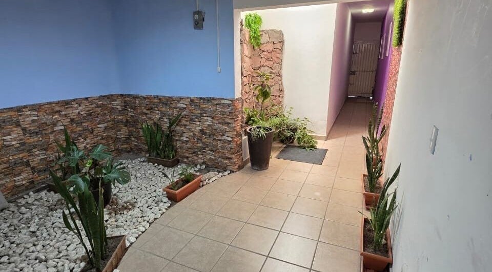 Pasillo con plantas y decoración de piedra en Lume Lys, Durango, Durango, MX.