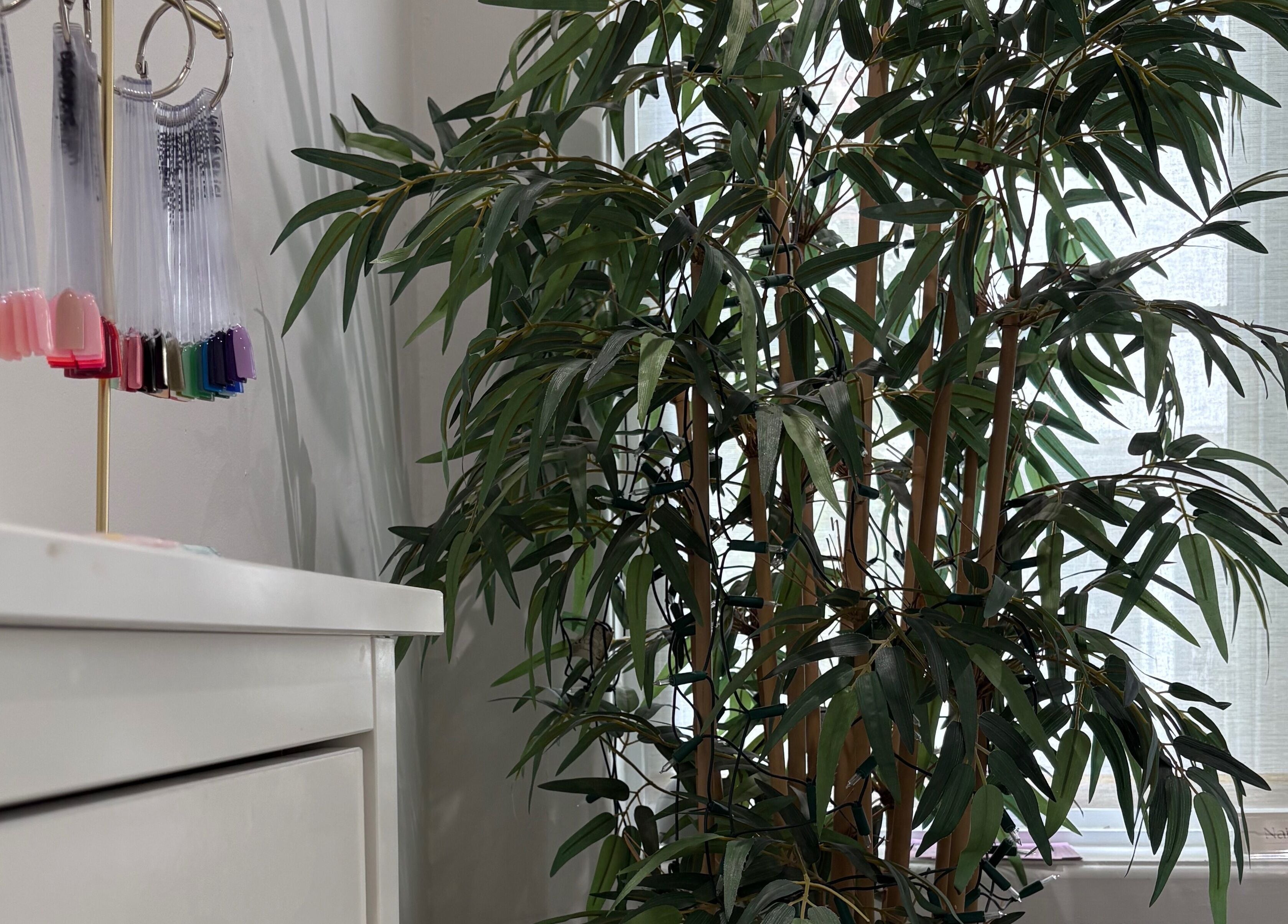 Nail color samples beside lush plant at Nails by Kirsty, Balbriggan, County Dublin, IE.