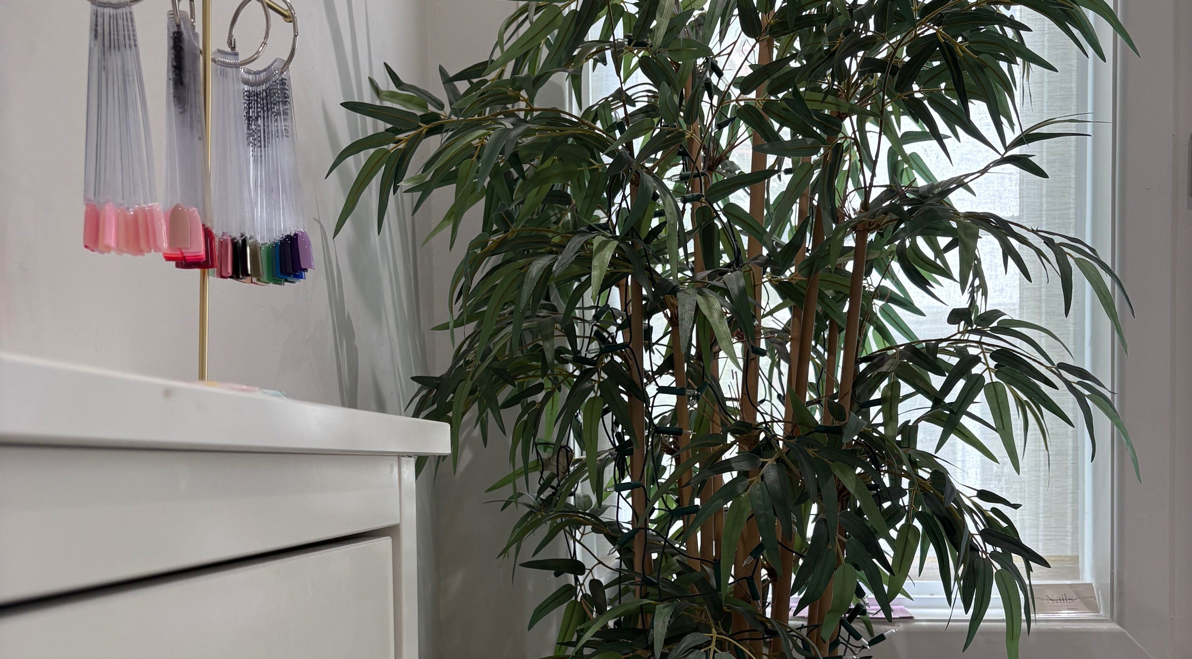 Nail color samples beside lush plant at Nails by Kirsty, Balbriggan, County Dublin, IE.