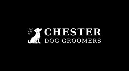 Chester Dog Groomers