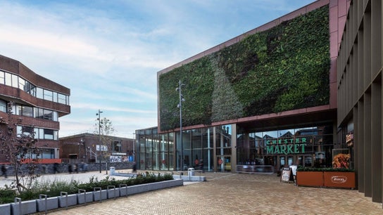 Chester Dog Groomers