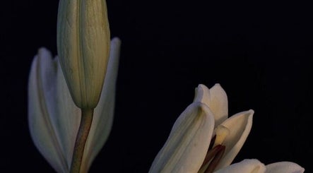 The Unfold  | Intuitive Somatic Bodywork image 2