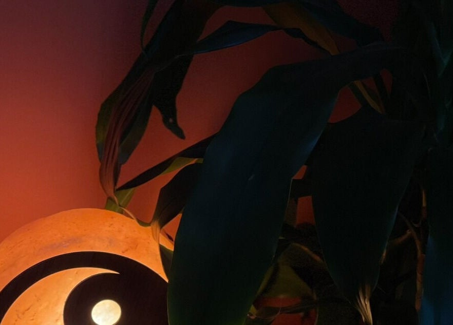 Ambient lamp and plant at Rooted in Rest, Auchterarder, Scotland, GB create a calming atmosphere.