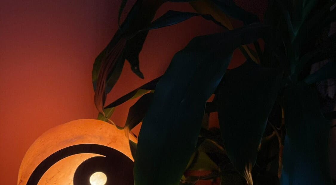 Ambient lamp and plant at Rooted in Rest, Auchterarder, Scotland, GB create a calming atmosphere.