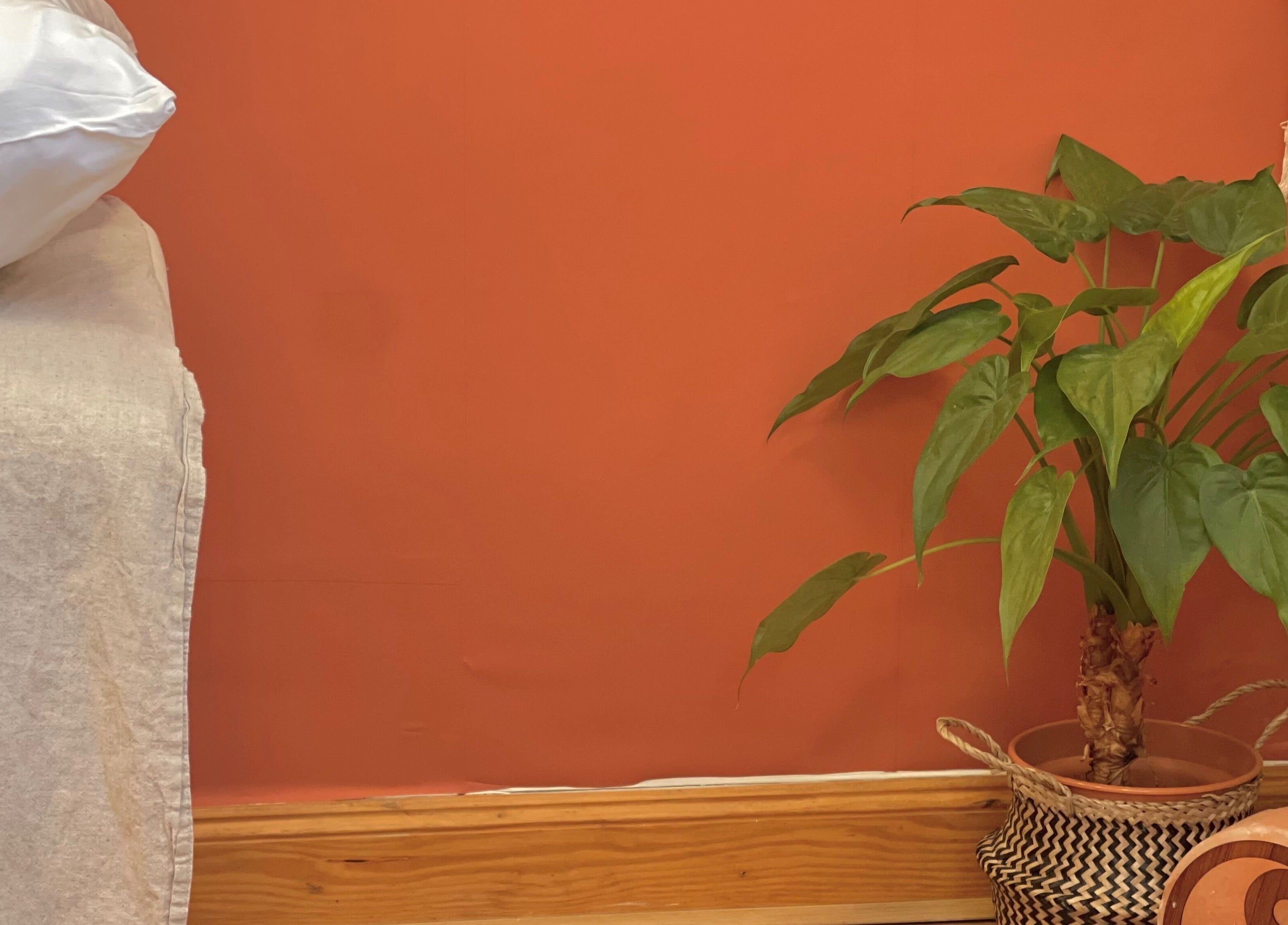 Serene room decor with a plant at Rooted in Rest, Auchterarder, Scotland, GB.