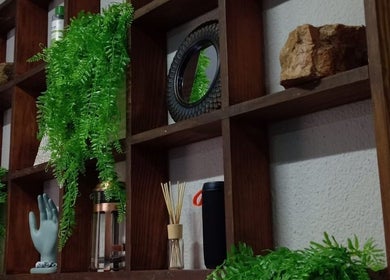 Lush wooden shelf with greenery at The Fern Beauty Salon, Kempton Park, Gauteng, ZA.
