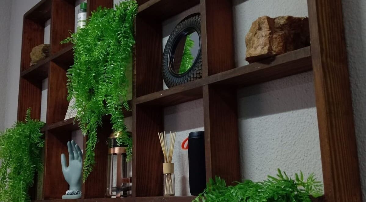 Decorative wooden shelves with green ferns at The Fern Beauty Salon, Kempton Park, Gauteng, ZA.