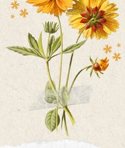 Té Quáresma image 2