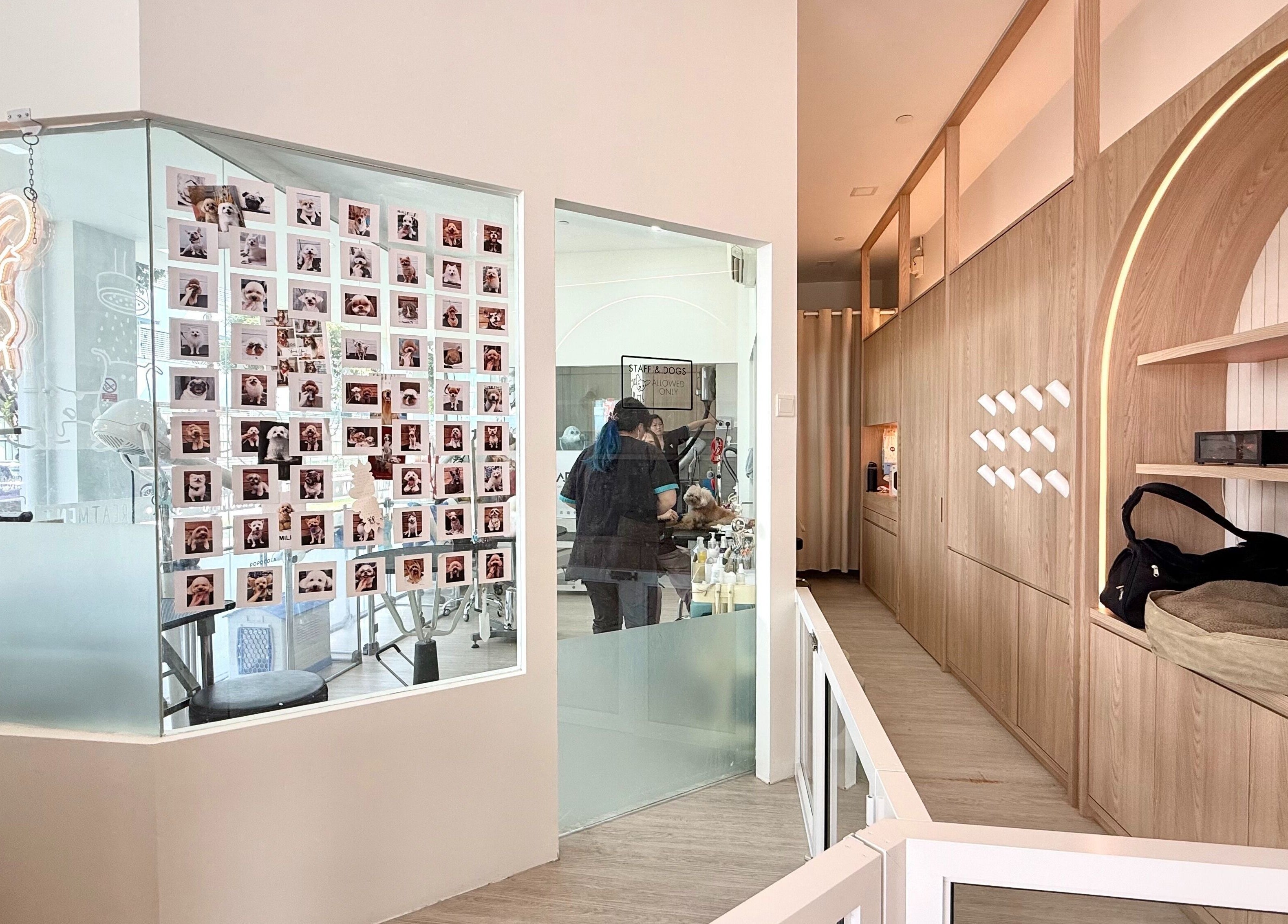Interior of Snob Ark Pet Salon in Singapore, showcasing grooming stations and pet photo gallery.