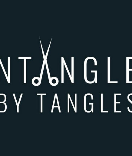 Untangled by Tangles изображение 2