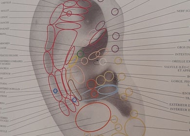 Diagramme de l’oreille illustrant l'acupression chez Massage ejm à Nouméa, Province Sud, NC.