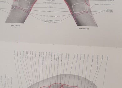 Affiche anatomique détaillée à Massage ejm, Nouméa, Province Sud, NC, illustrant des points de massage.